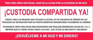 Custodia compartida