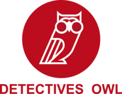 Detectives OWL